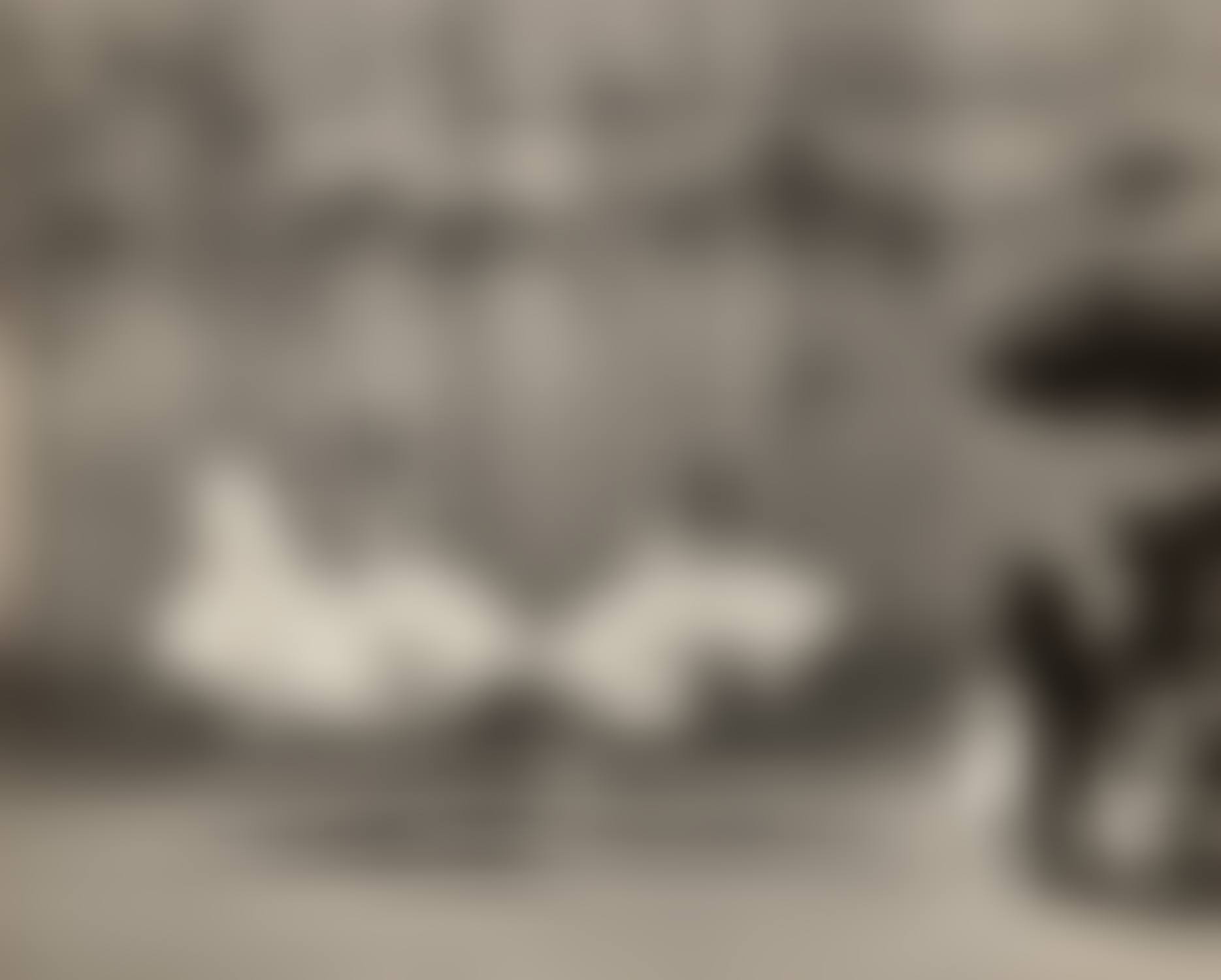 Ballet, New York City (preview)