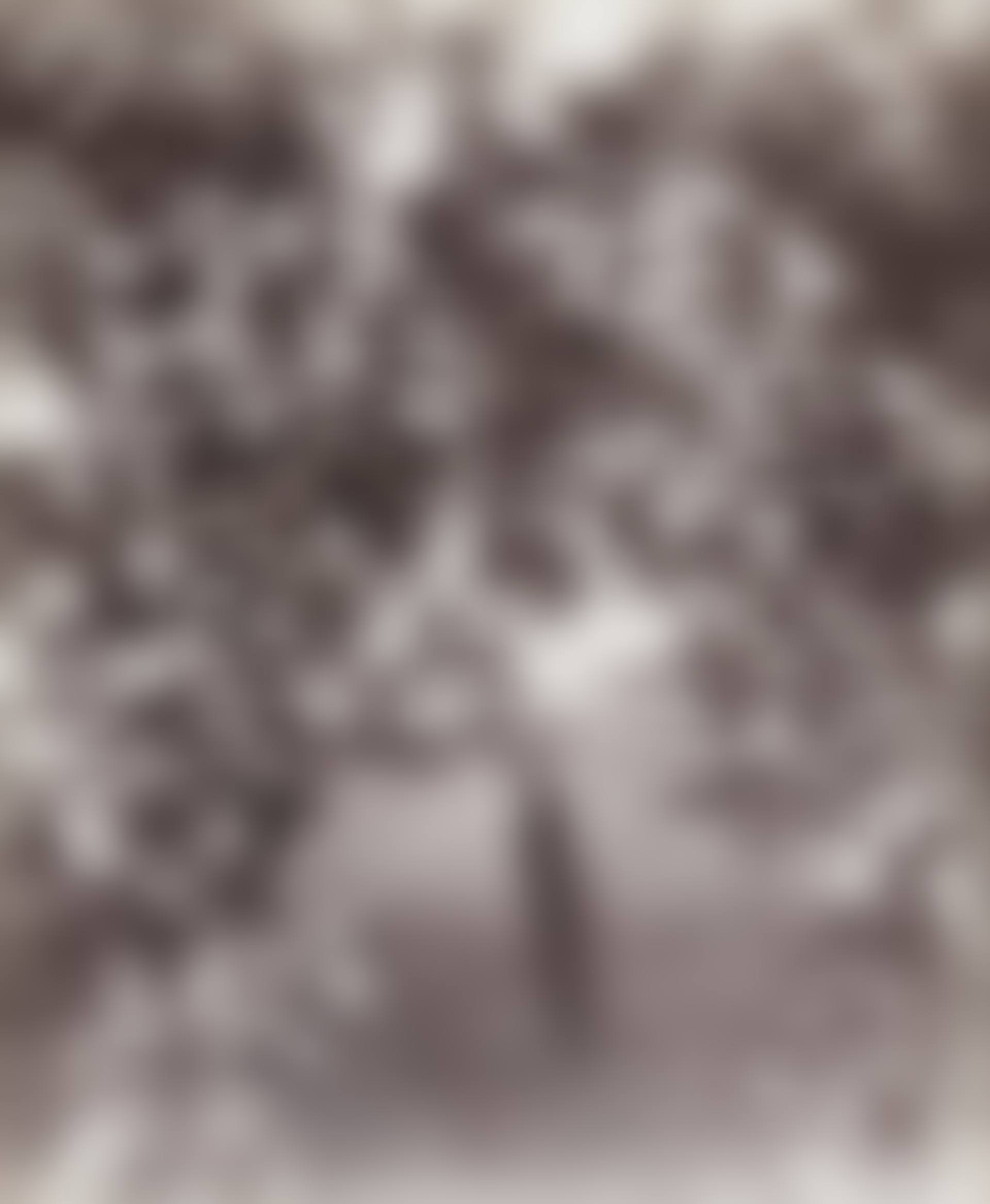 Pommier (preview)