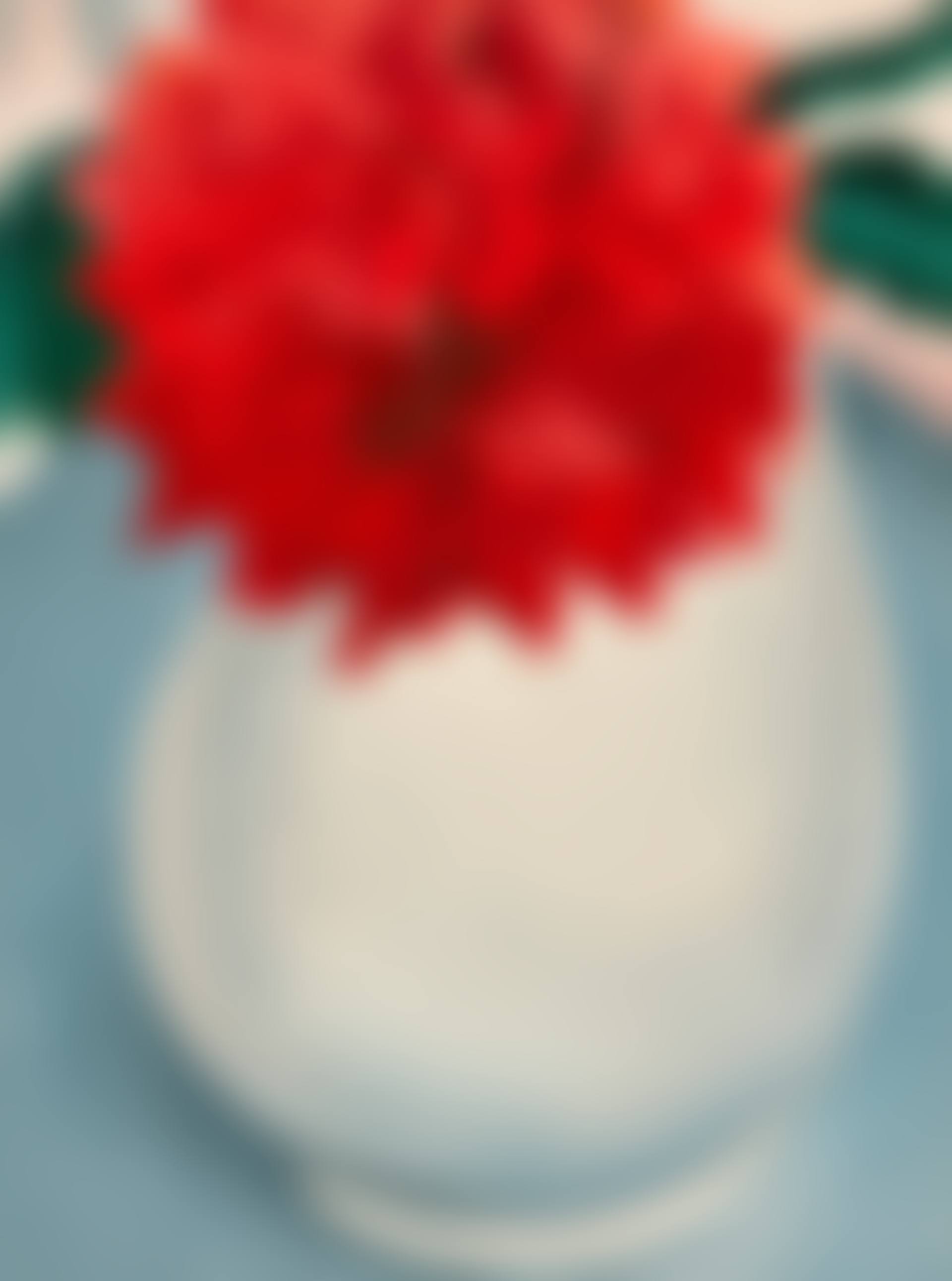 White Pitcher-Red Flower (preview)