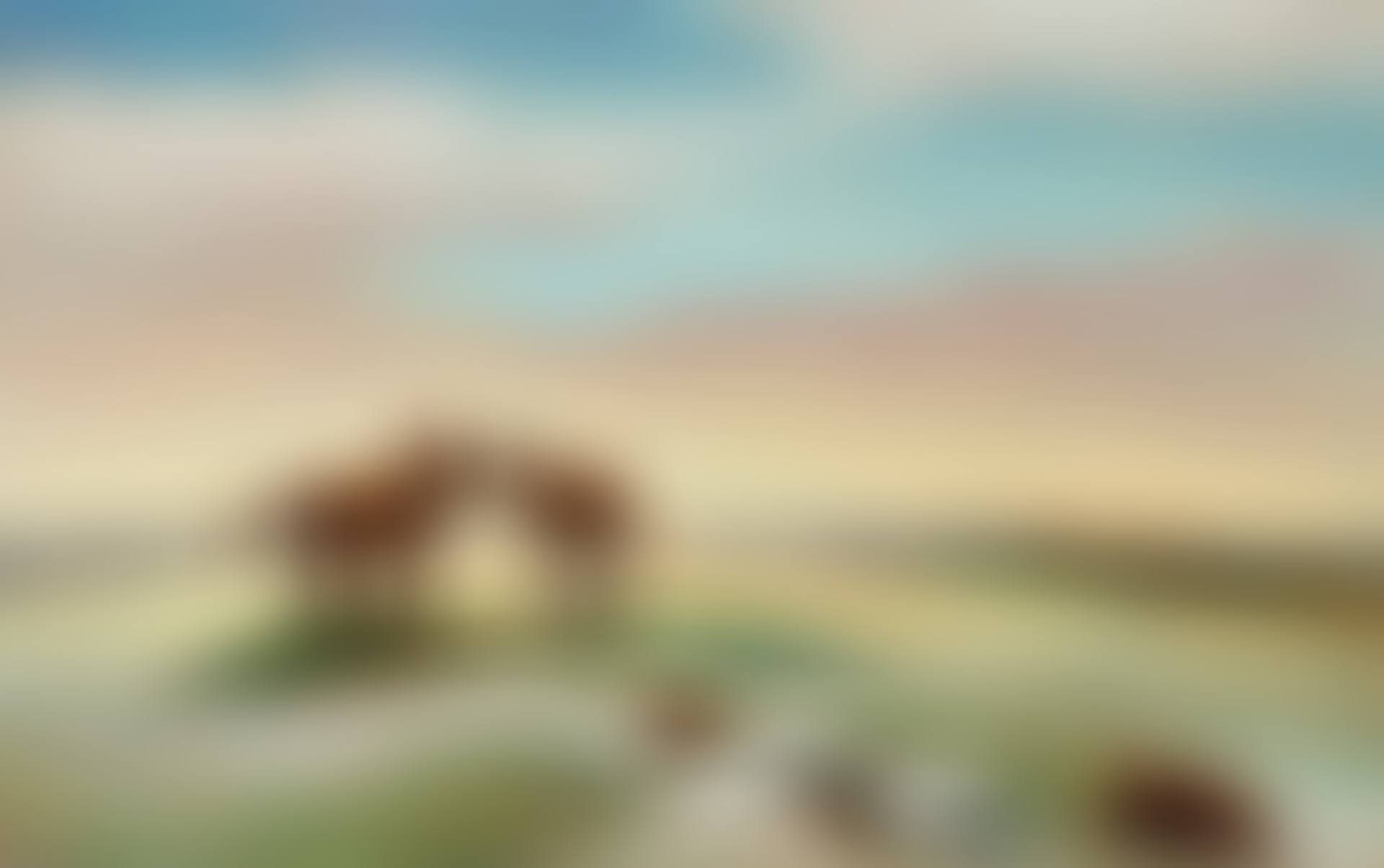 Conversation (preview)