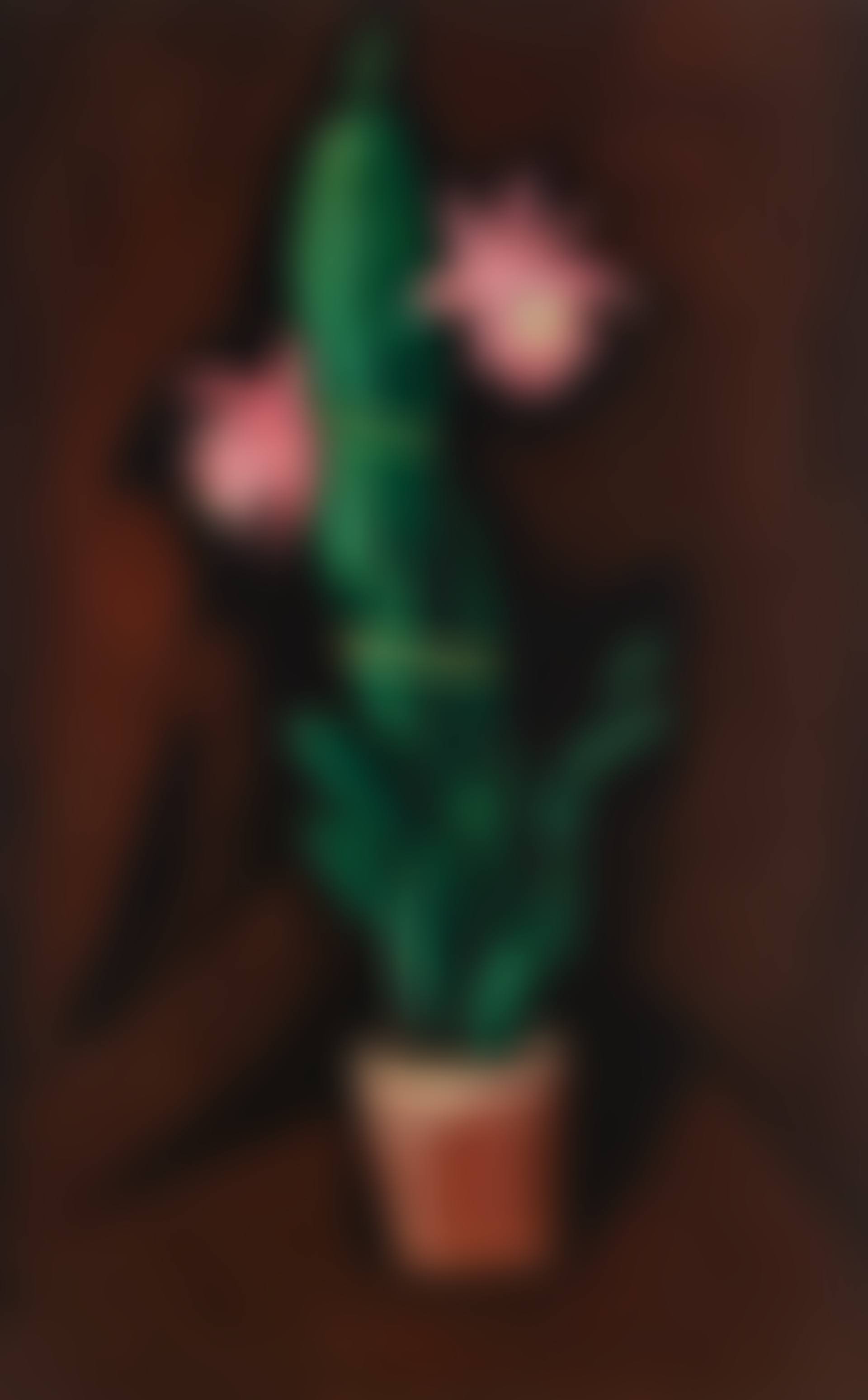 Cerise Cactus (preview)