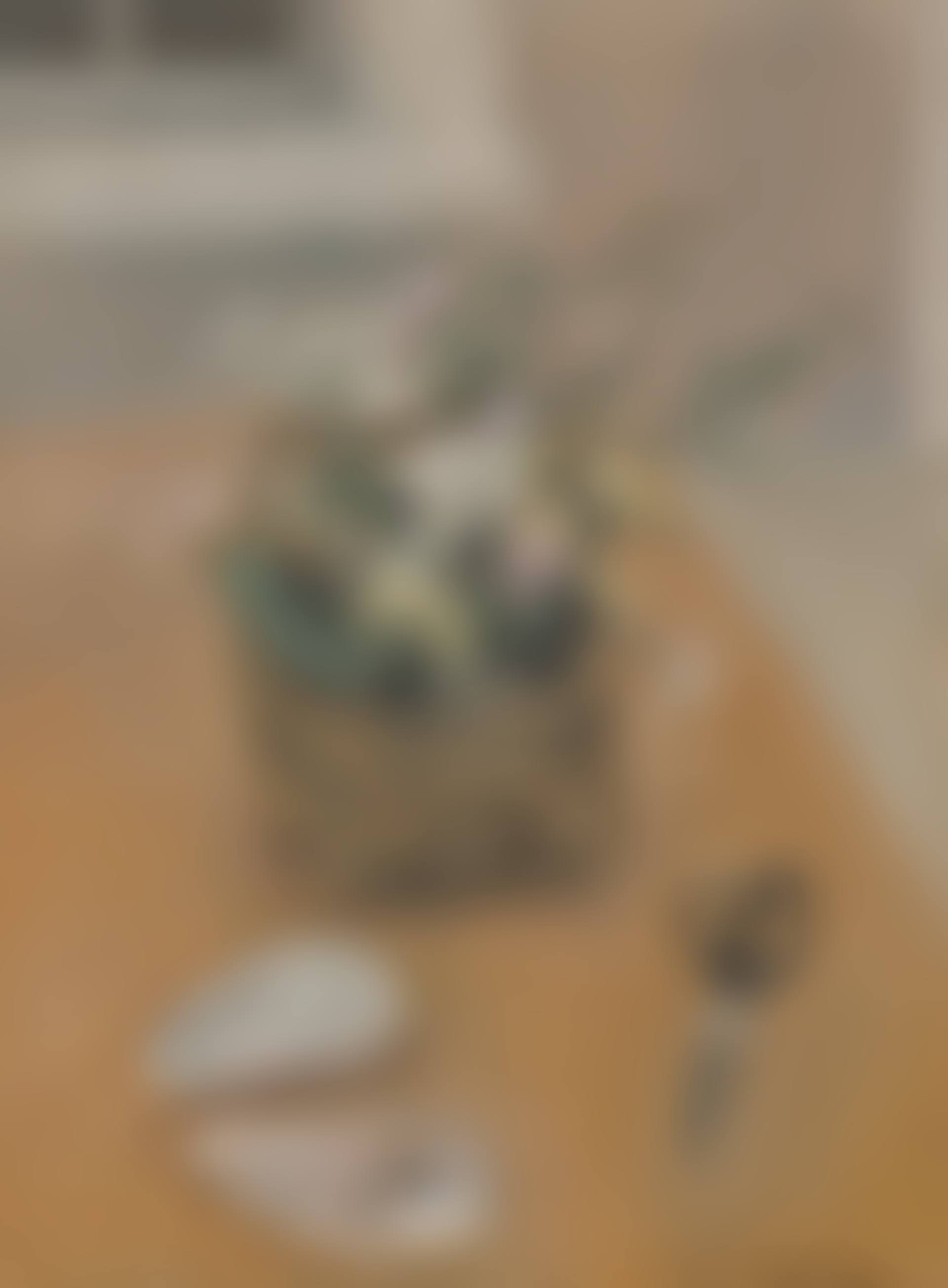 Still Life with Flower Basket, Shells, Scissors (preview)