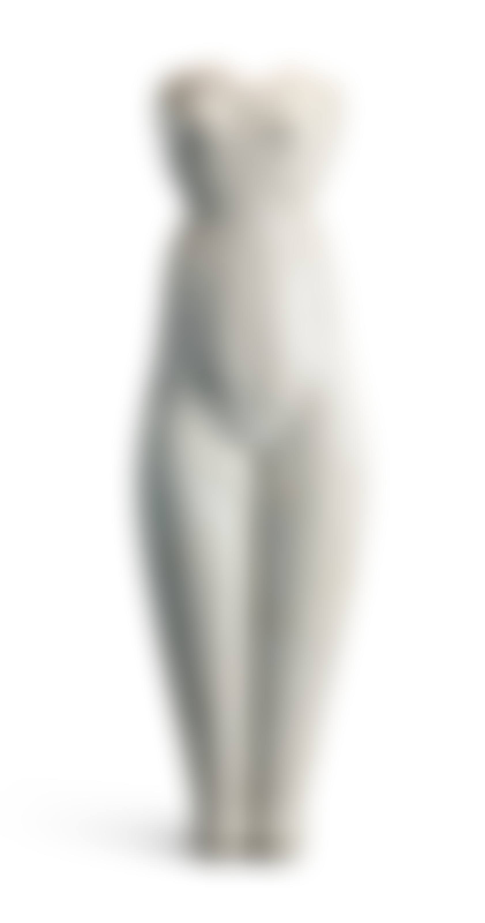 Symmetrical Torso (preview)