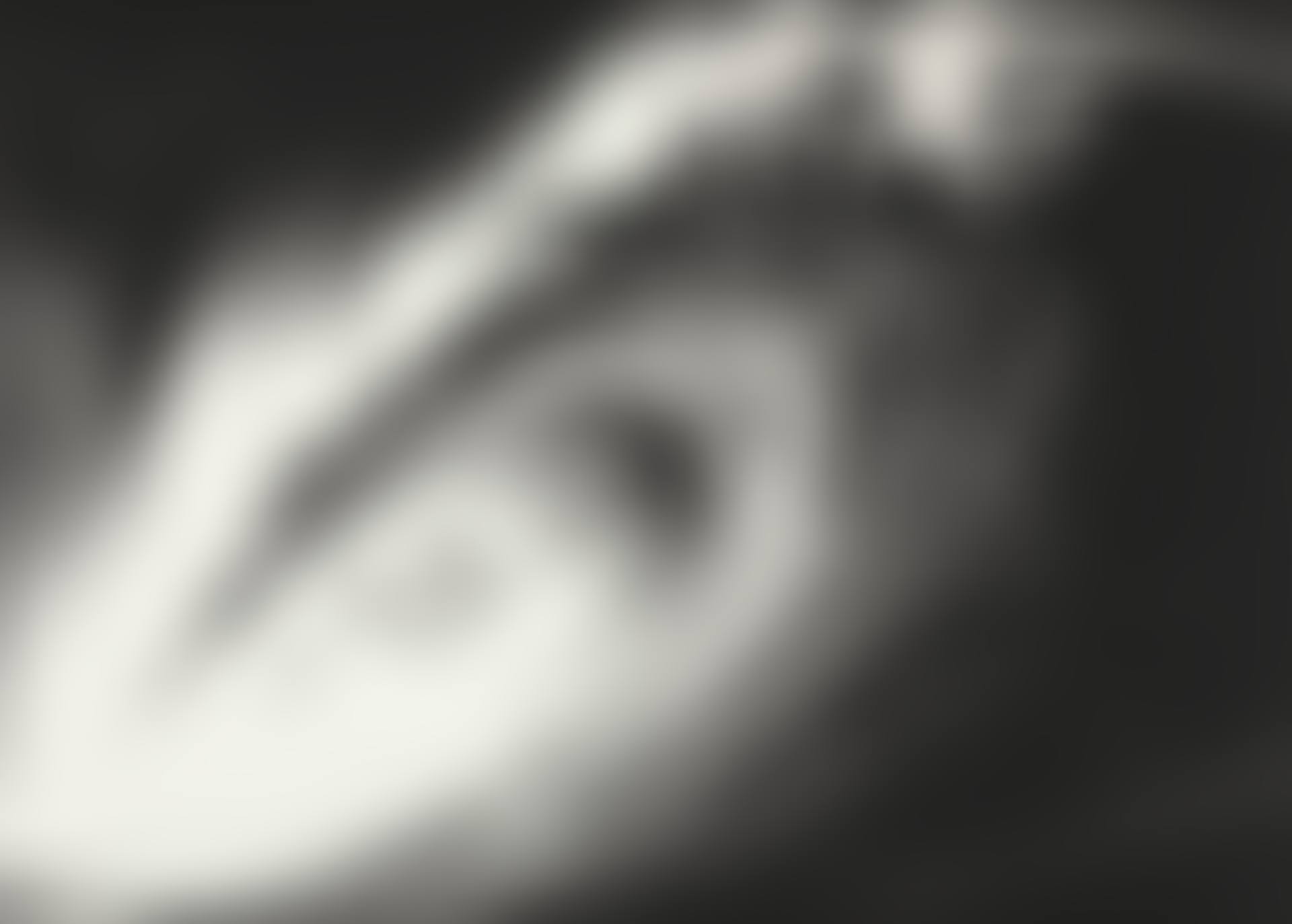 Sans titre (Phoenix) (preview)