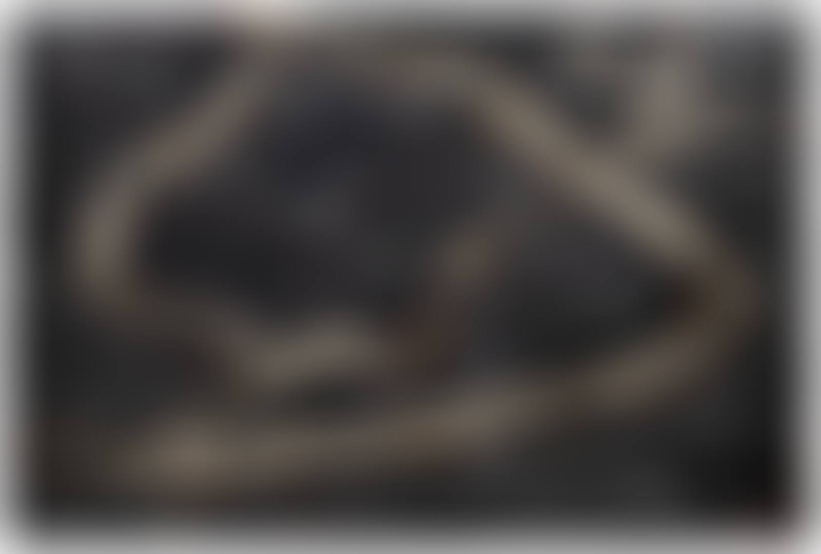 Moon Cedar (preview)