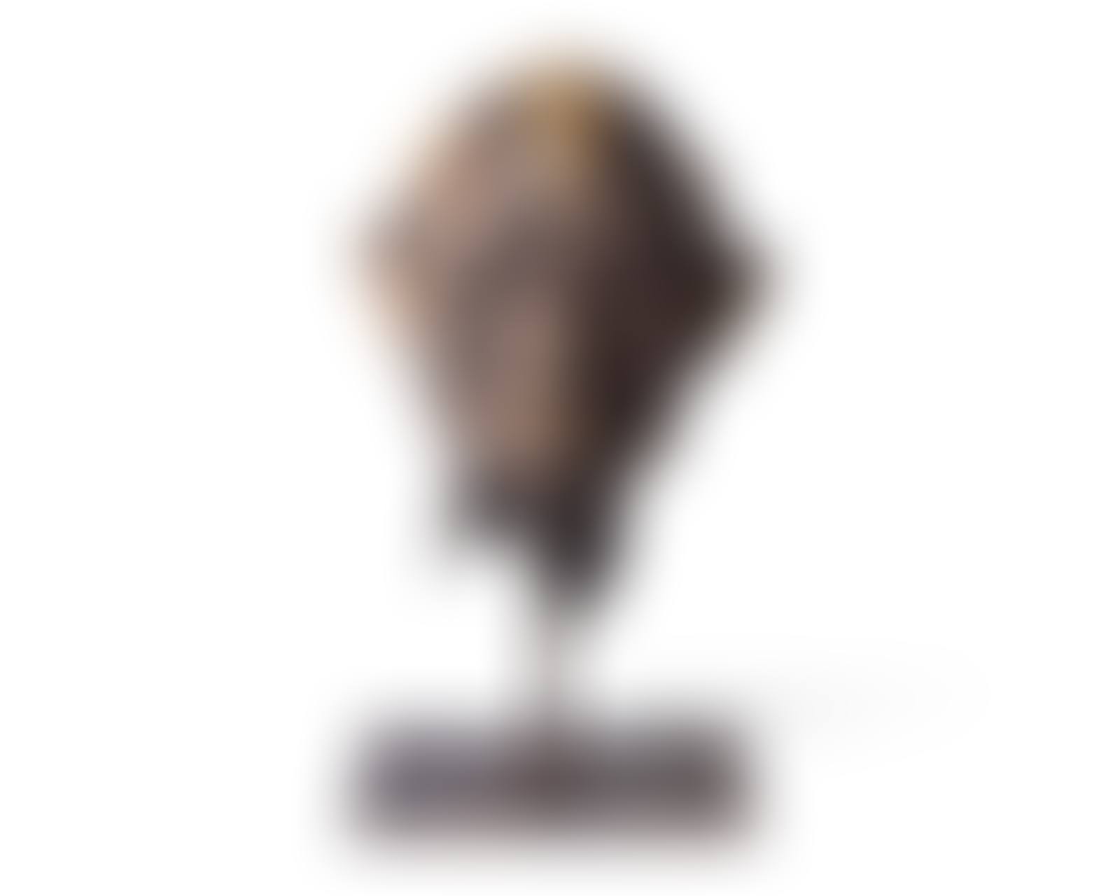 Little Head (preview)