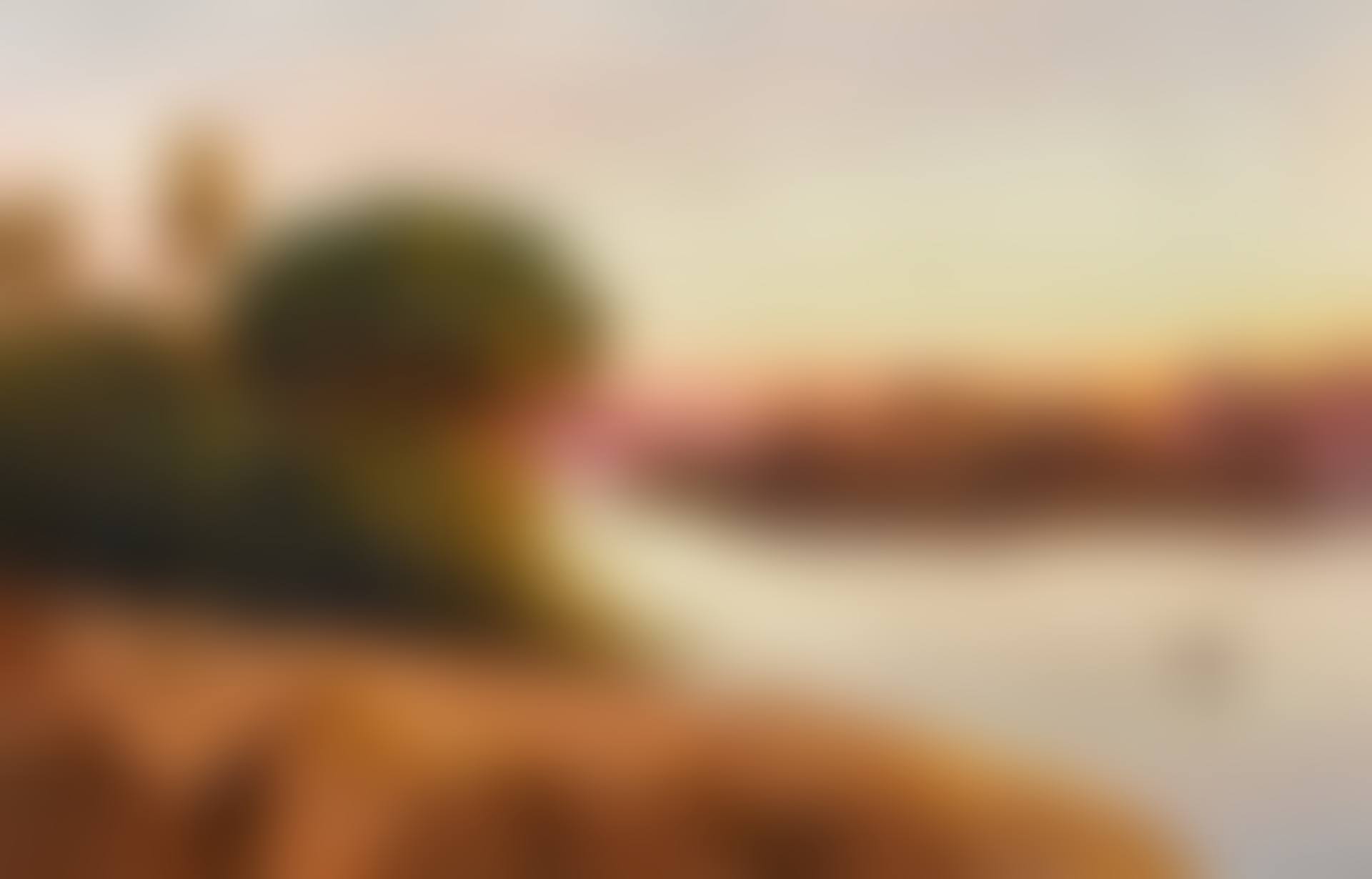 "And I will See, Before I Die, The Palms and Temples of the South" (preview)