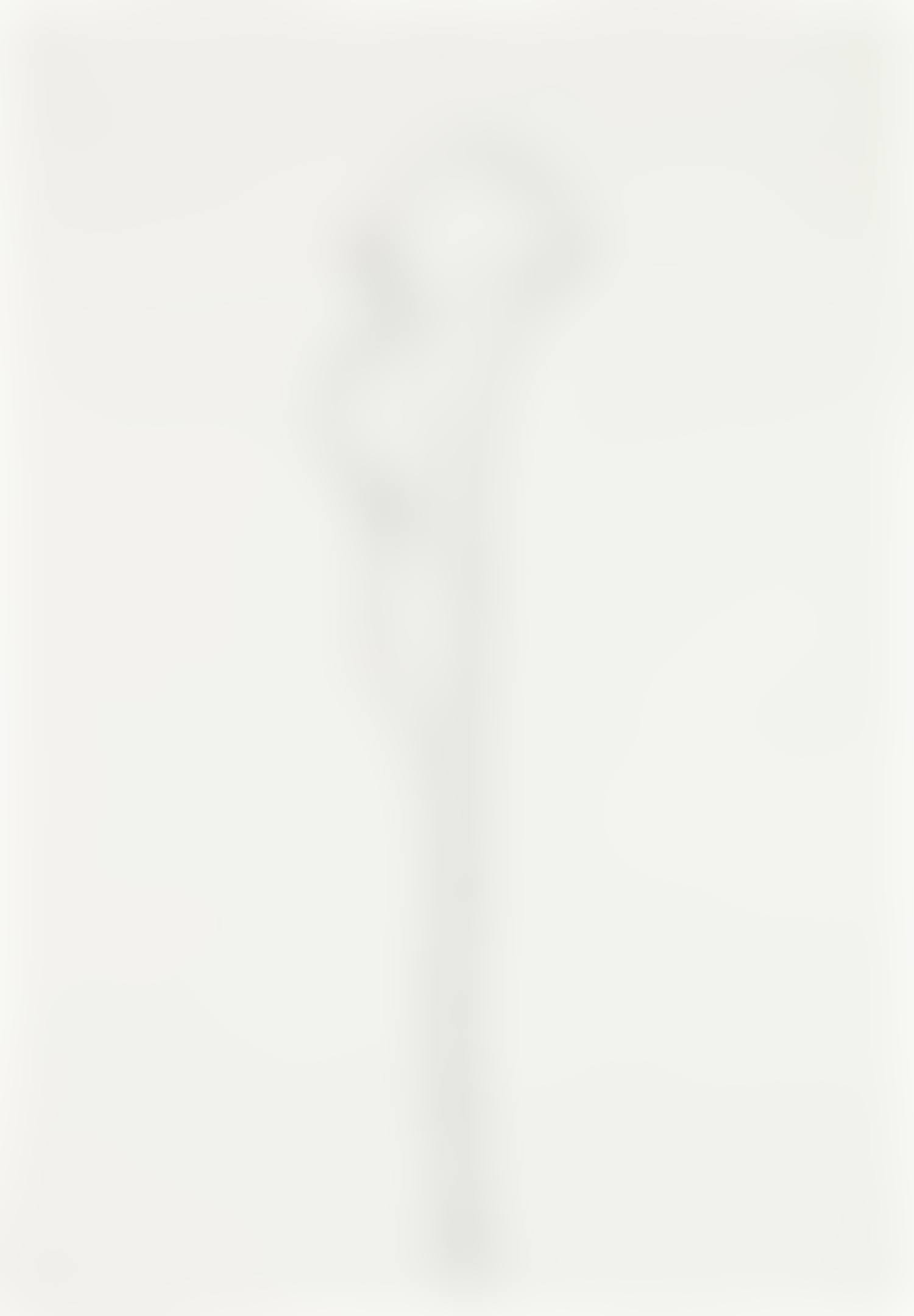 Calla Lily III, from Series of Plant and Flower Lithographs (G. 1206, A. 211) (preview)