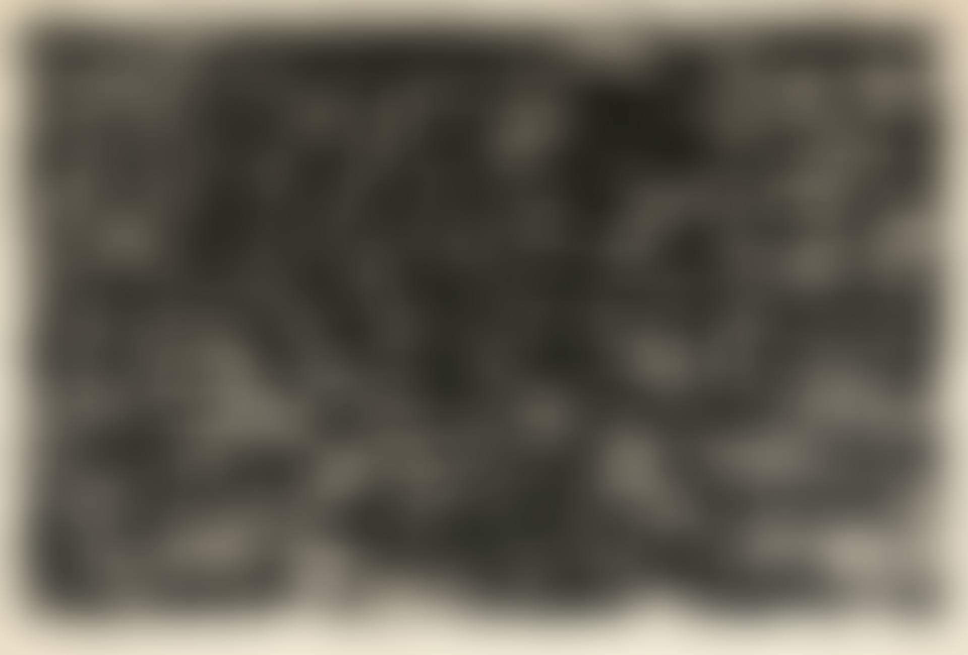 Flag I (preview)