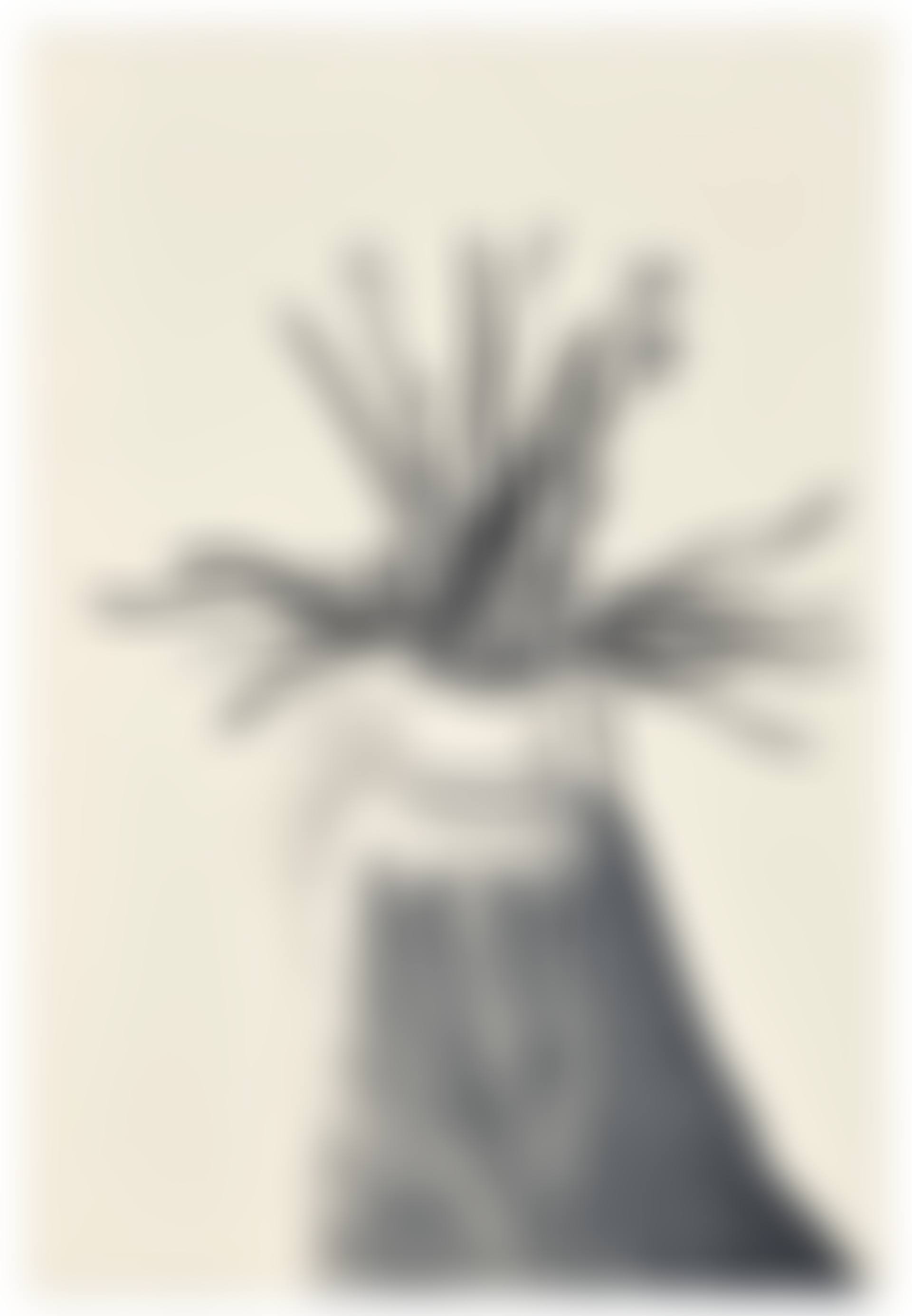 Potted Daffodils (preview)