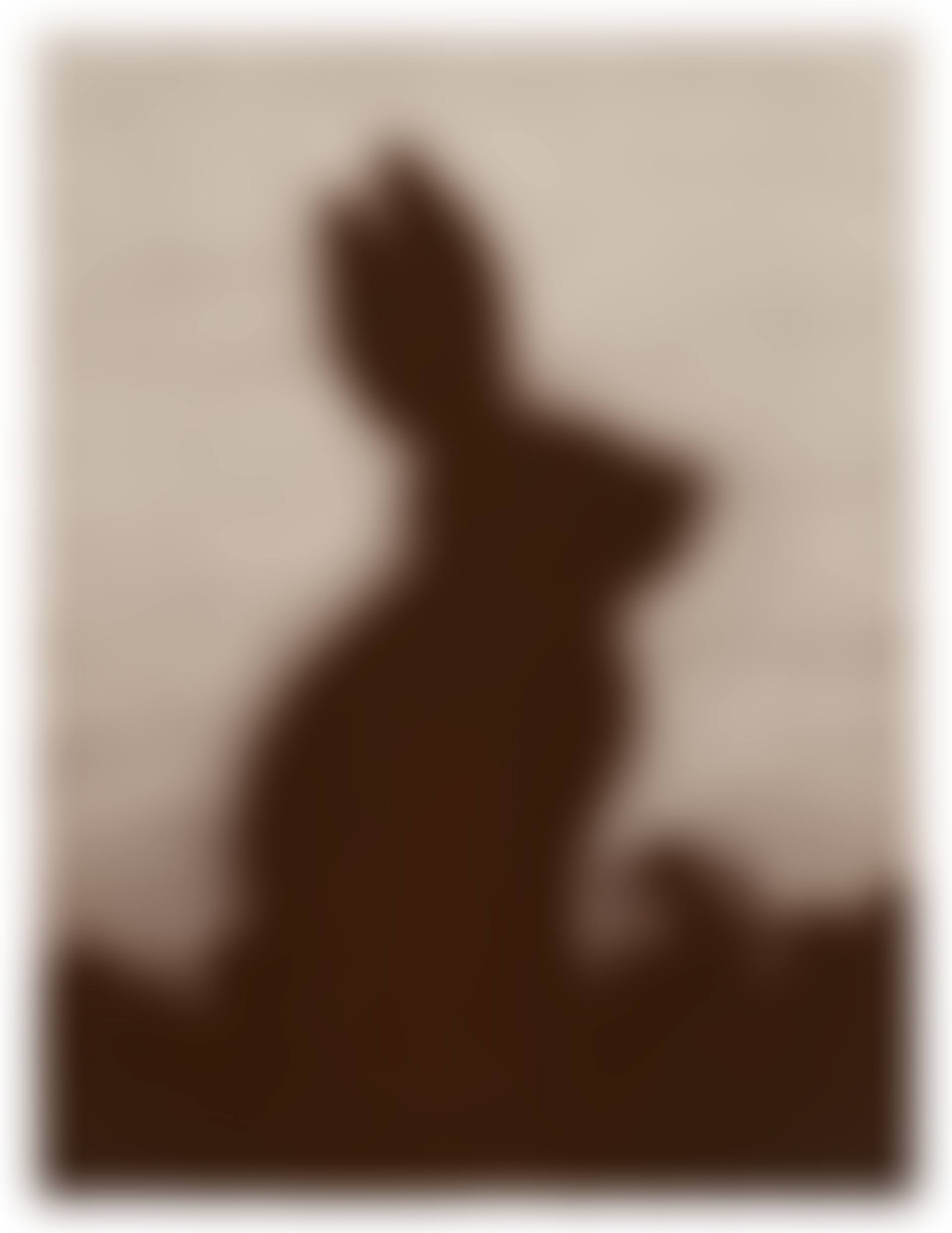 Rabbit (preview)