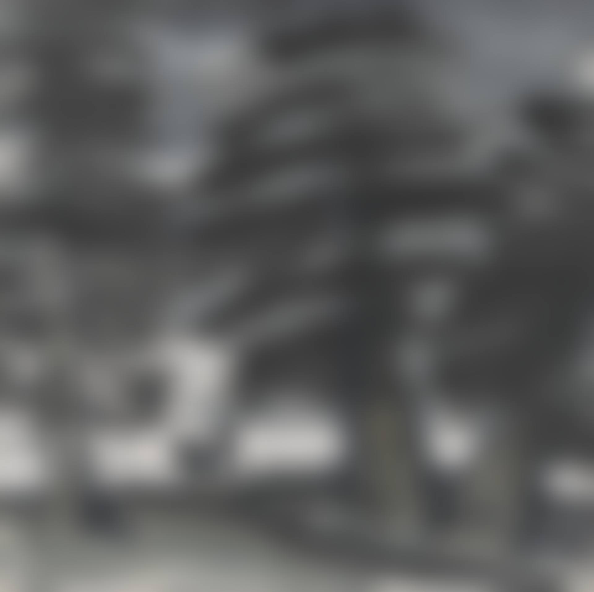 Woodcutter Returning (preview)