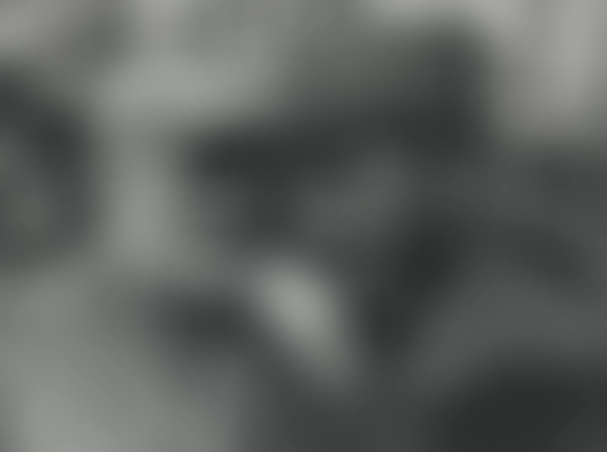 Con Hemingway (Fidel Castro with Ernest Hemingway) (preview)