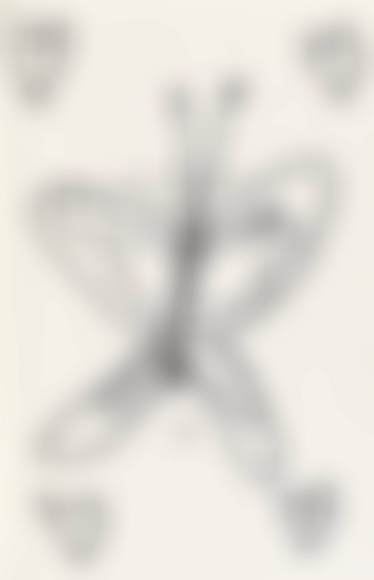 Butterfly with Hearts (preview)