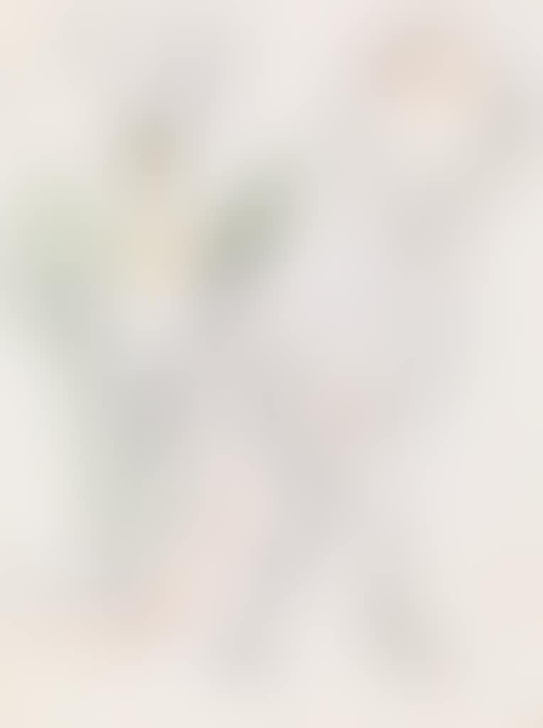 Exzentrische Tänzerinnen (preview)
