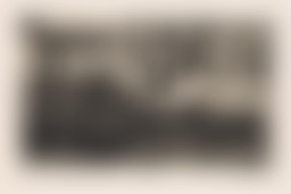 Im Varieté (preview)