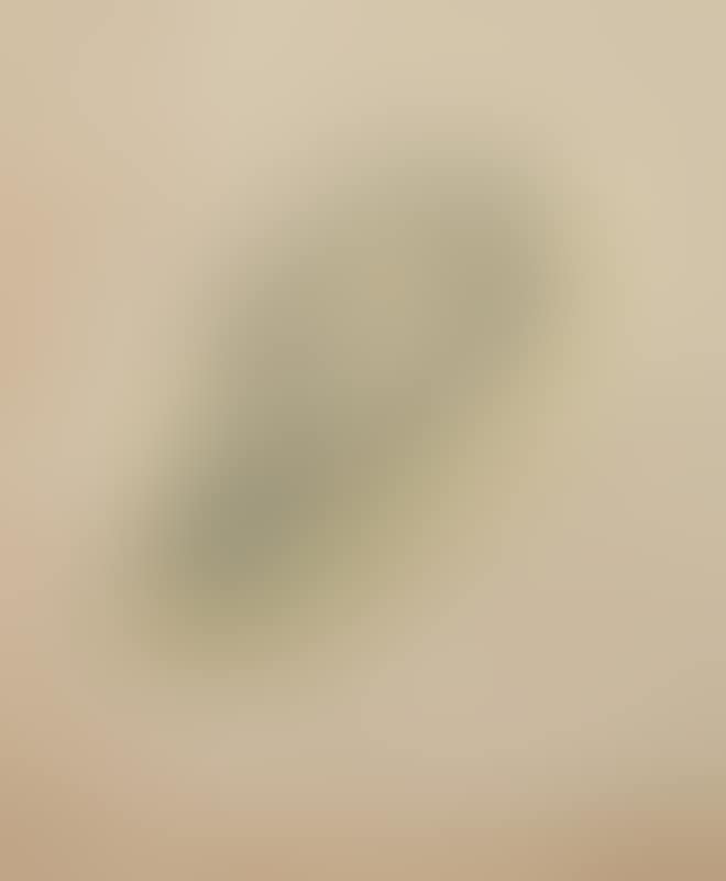 Vegetable forms (preview)