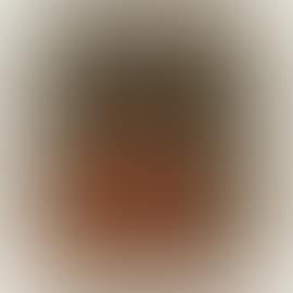 PORTRAIT OF A CARDINAL (preview)