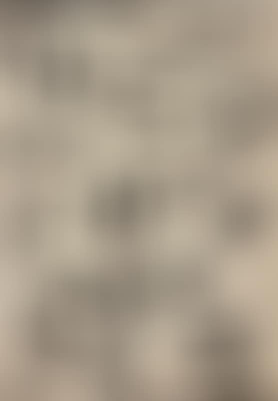 Without title (preview)