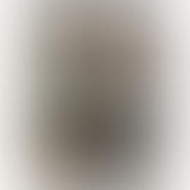 Figures (preview)