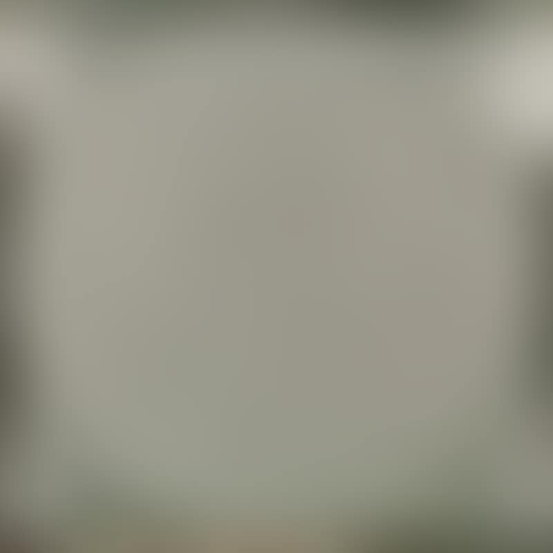 A SILVER ROUND (preview)