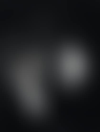 Two leaves (preview)