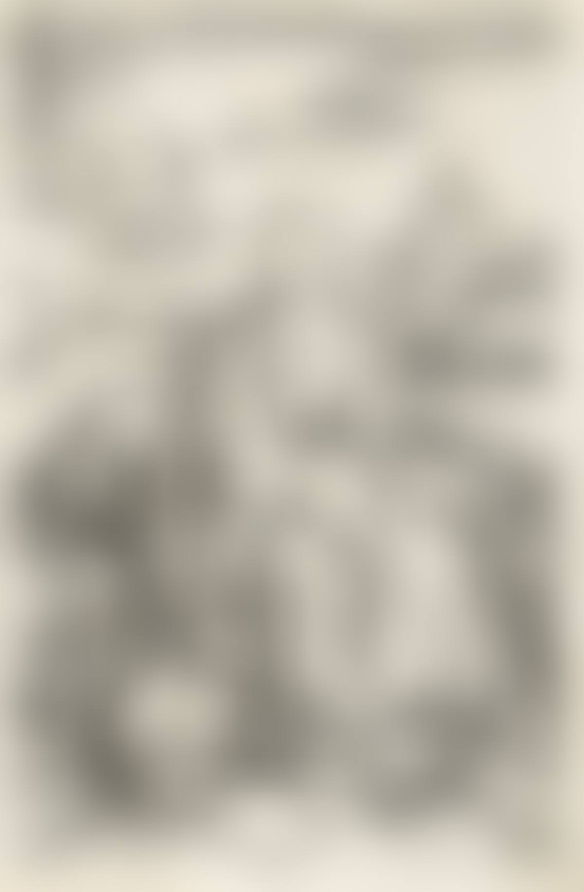 The Virgin and Child with the Monkey (preview)