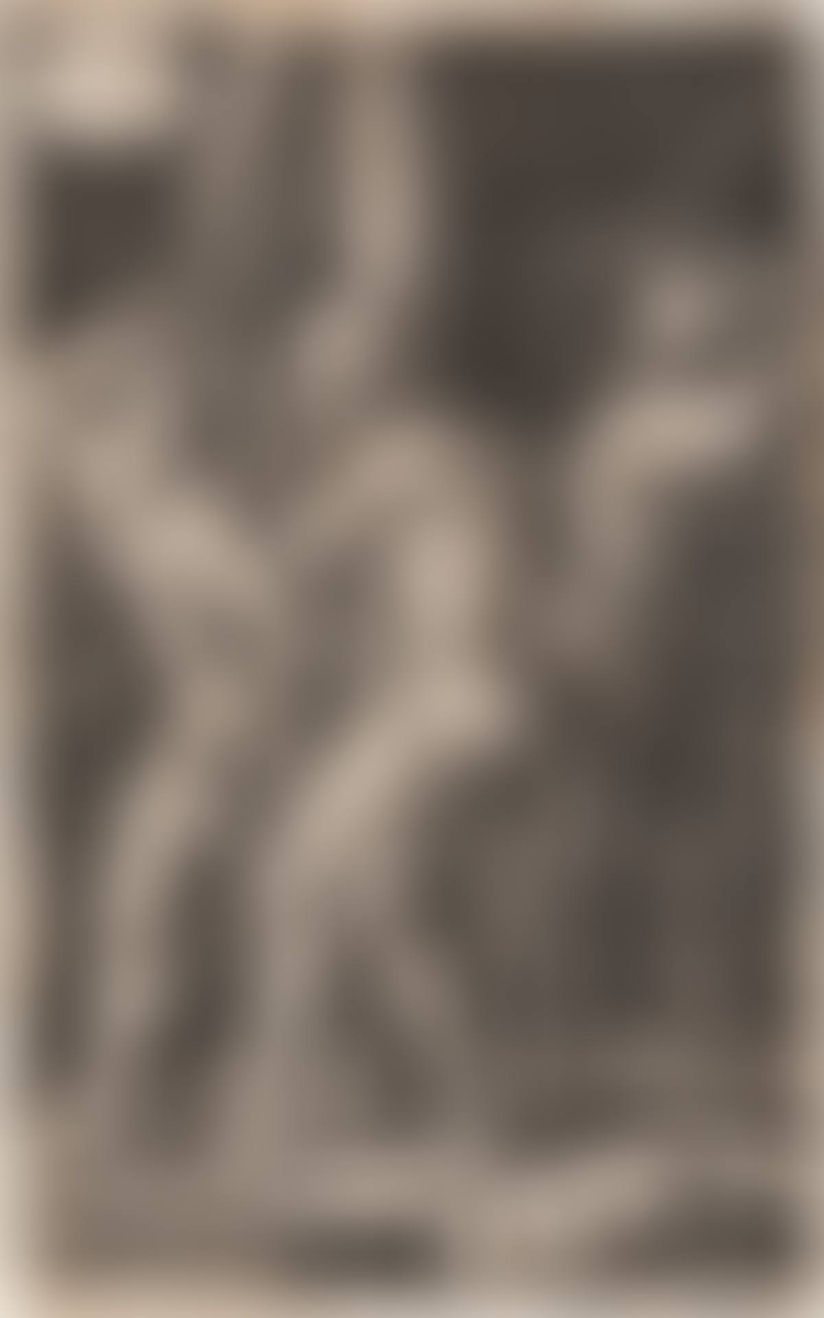 The Flagellation (preview)