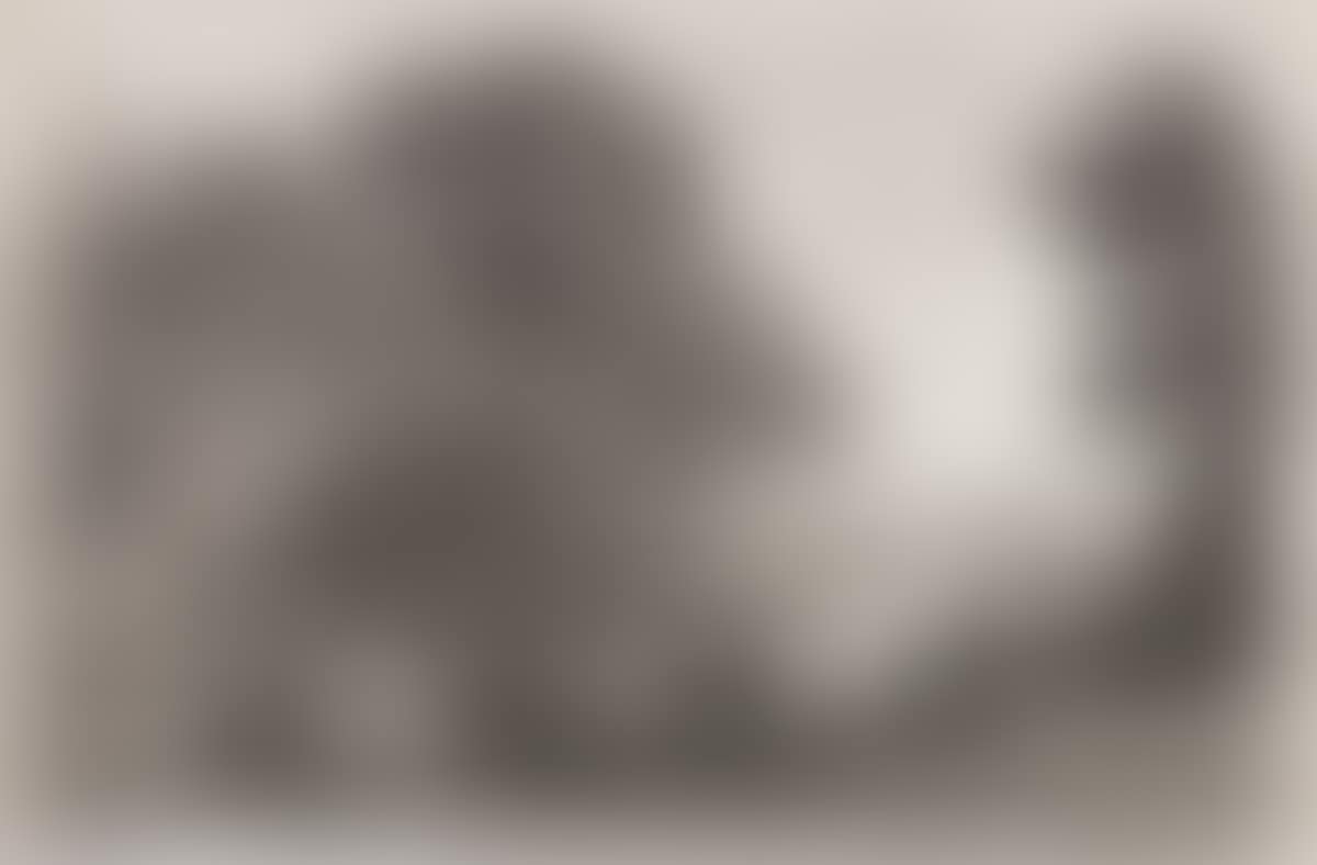 Le Bouvier (preview)
