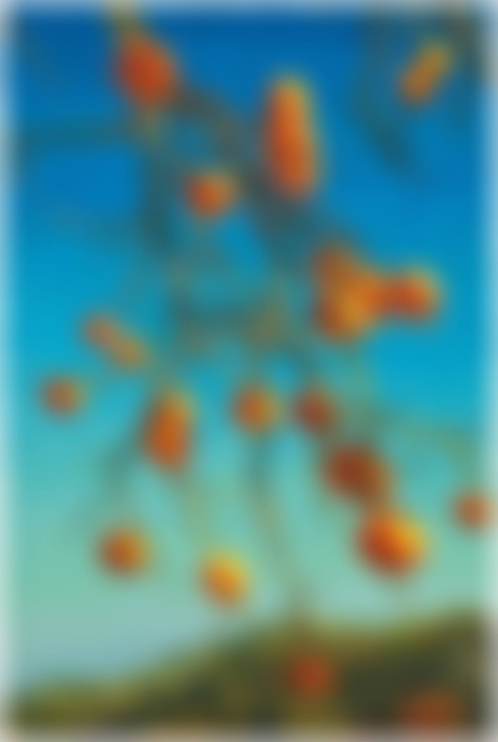Persimmons (preview)
