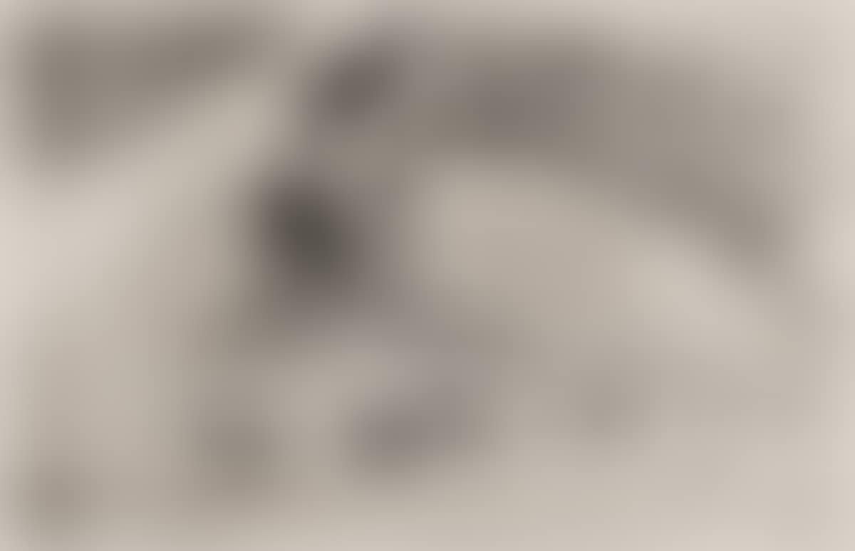 La Femme aux Figues (preview)
