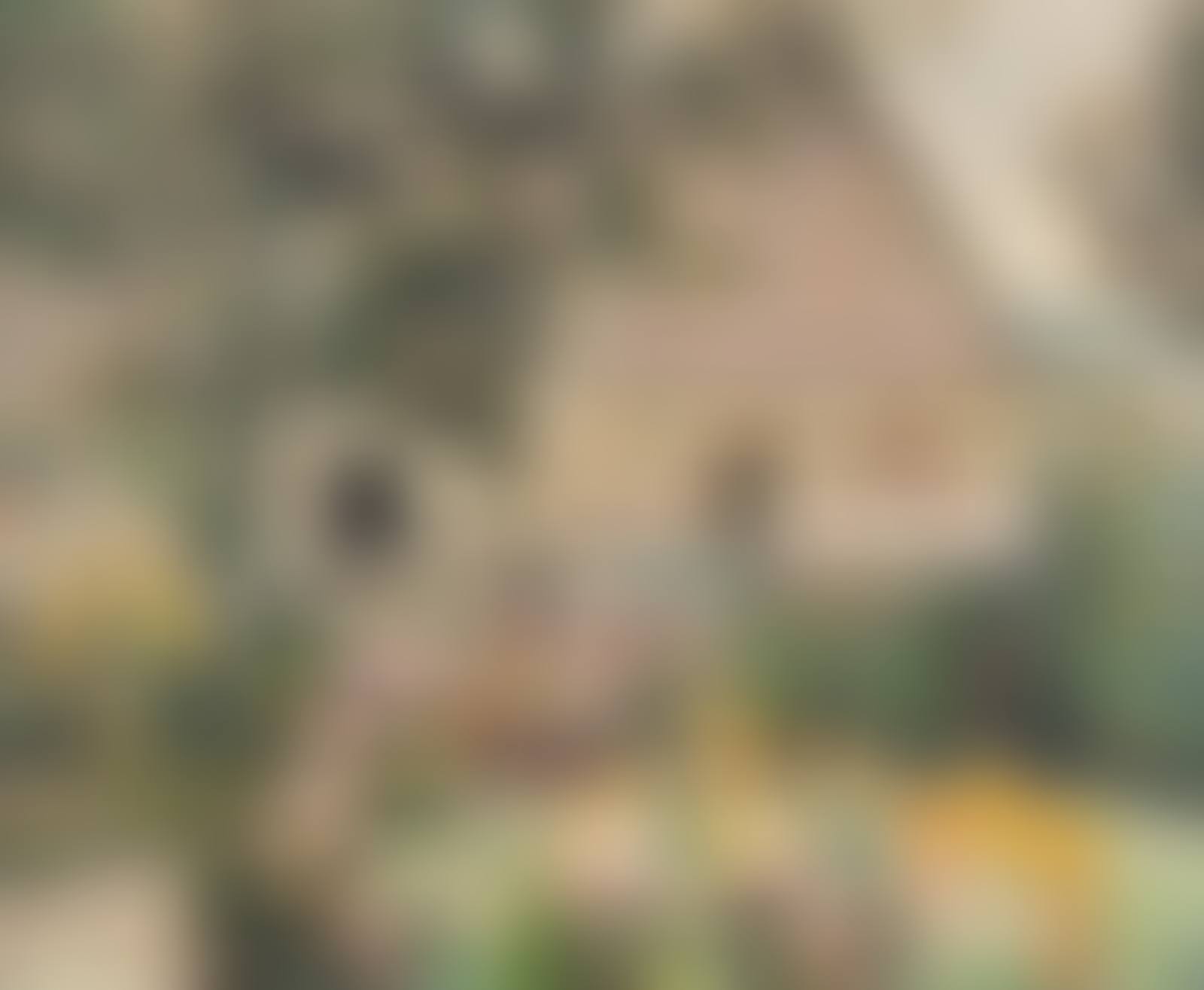 Chaumière Bretonne (Jardin à Ploare) (preview)