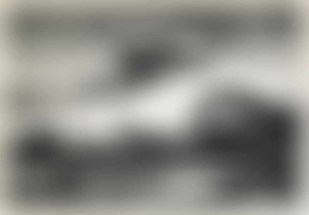 The Race (preview)
