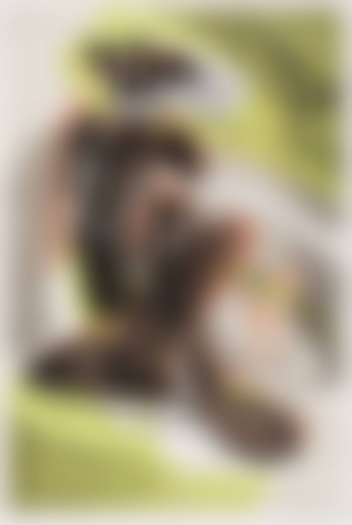 Le Couple (preview)
