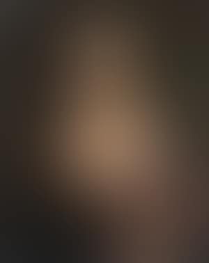 Bildnis einer adeligen Dame im Brokatkleid (preview)