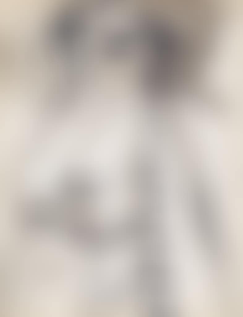 Femme Assise (preview)