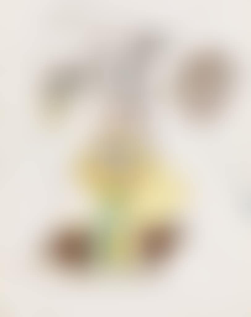 Composizione #2 (preview)