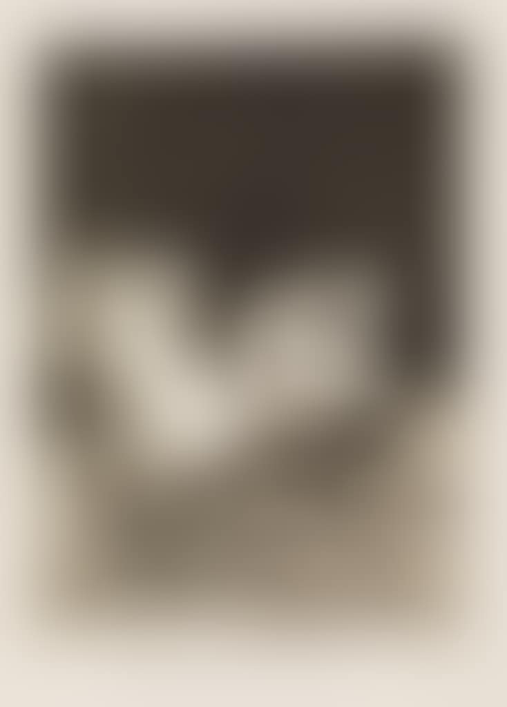 Que se la Llevaron! (preview)