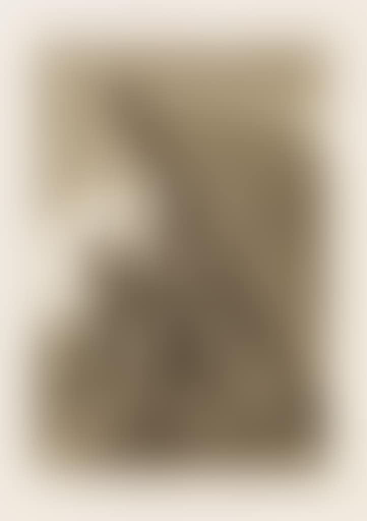 Y aun no se van! (preview)