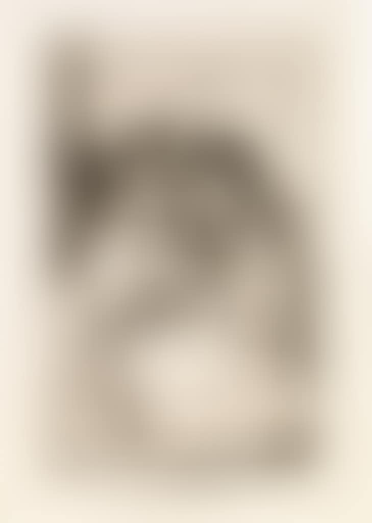 La Filiacion (preview)