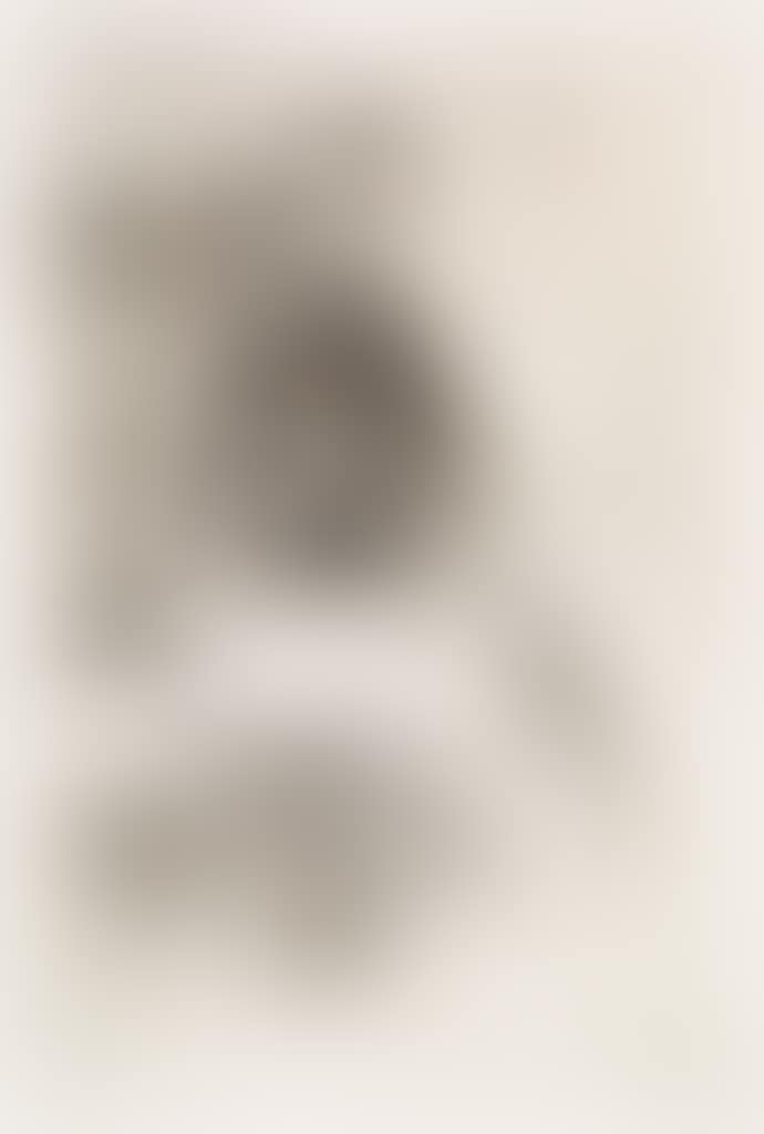 The Mandolin Player (preview)