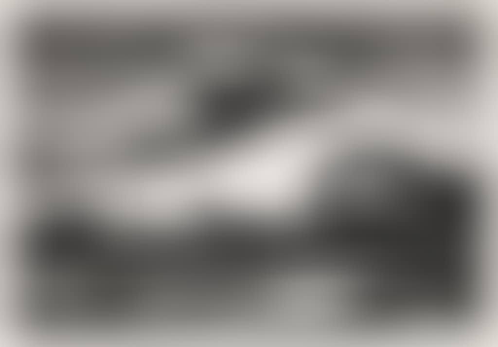 The Race (preview)