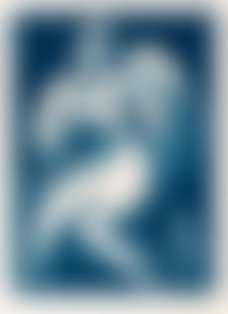 Coquette (preview)