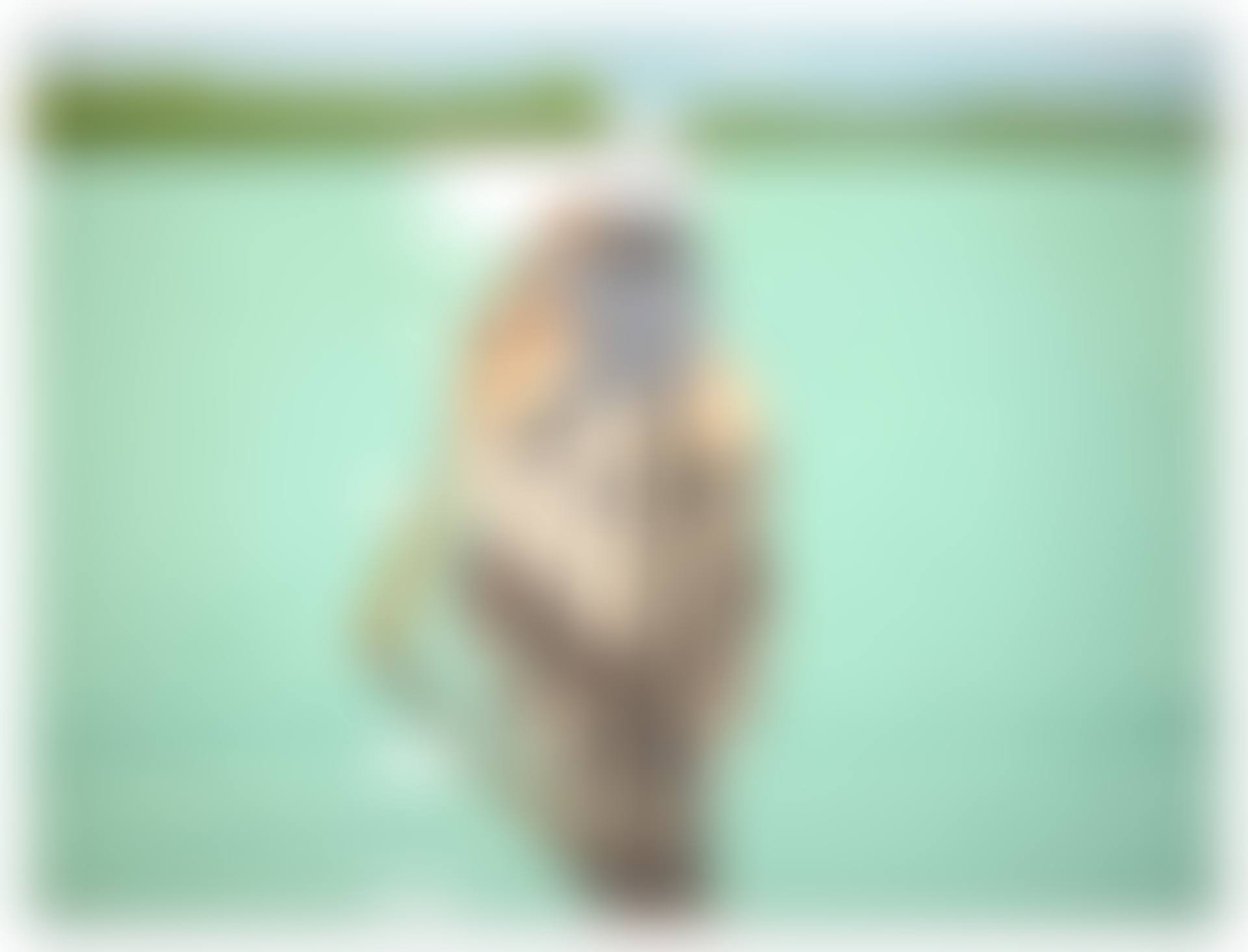 Good Afternoon 2 (preview)