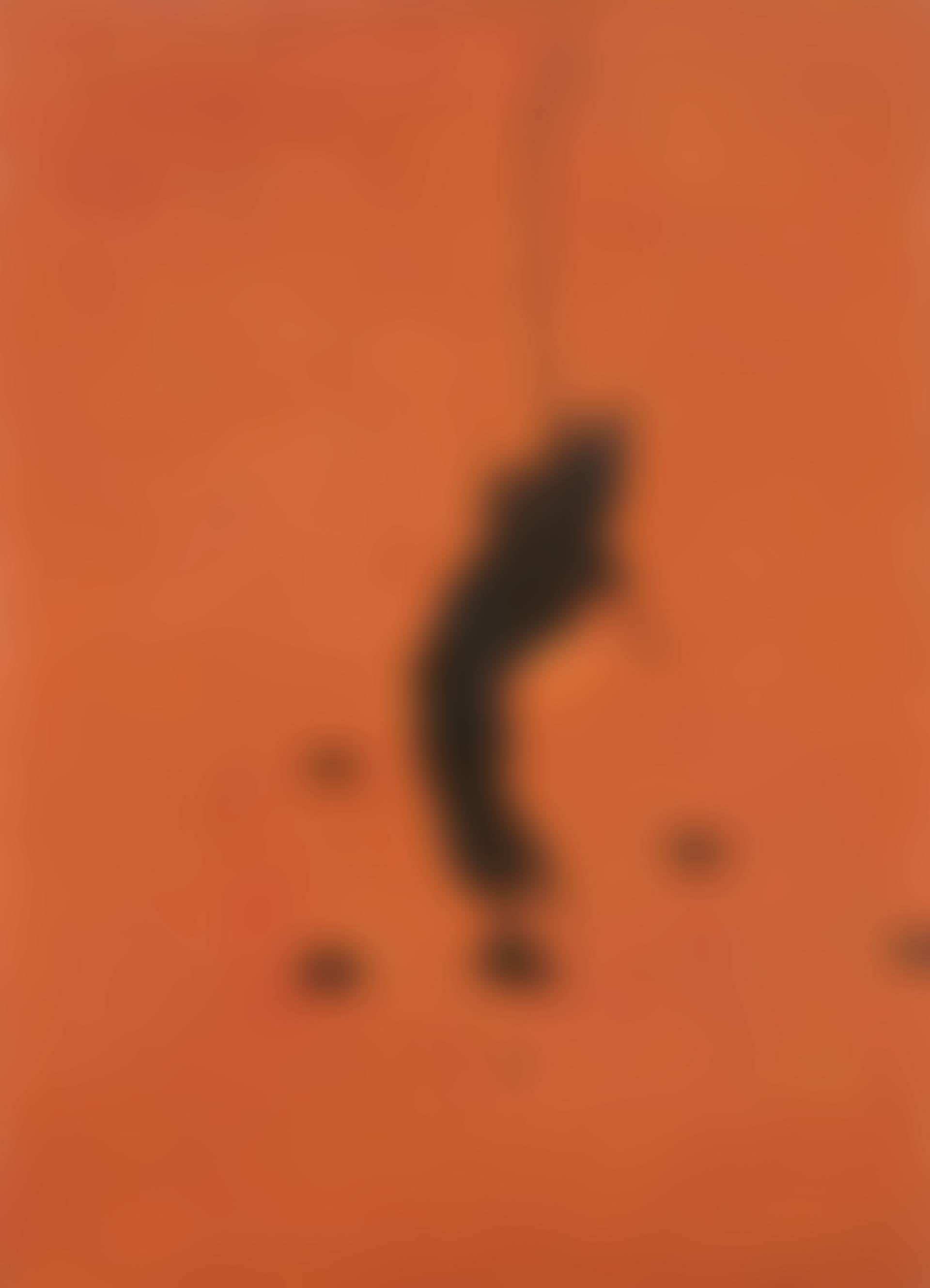 Untitled (La chance du pêcheu) (preview)