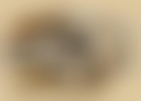 Nature morte [Kahnweiler 34] (preview)