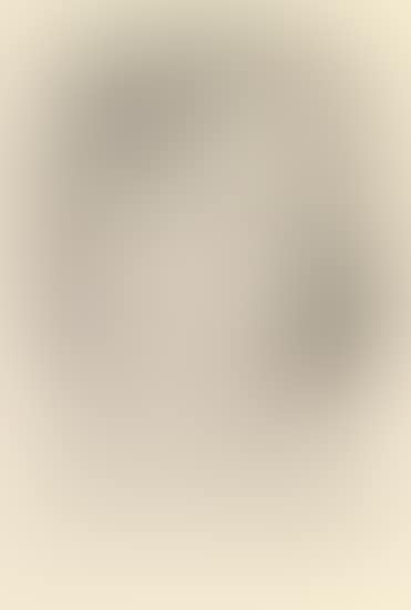 Mlle. M. M [Duthuit Books 2] (preview)