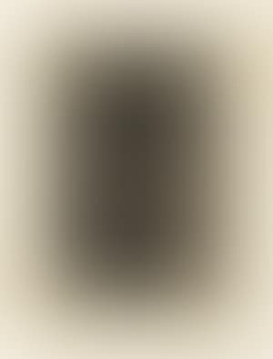 Armament in a vault (preview)