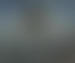 Landschaft mit Bäumen (preview)