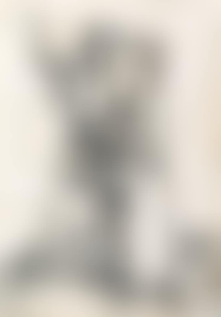 The Peasant And His Wife (preview)